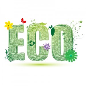 Eco-Friendly Ideas