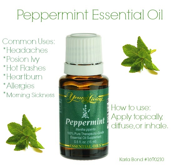 Common Uses for Peppermint Essential Oil